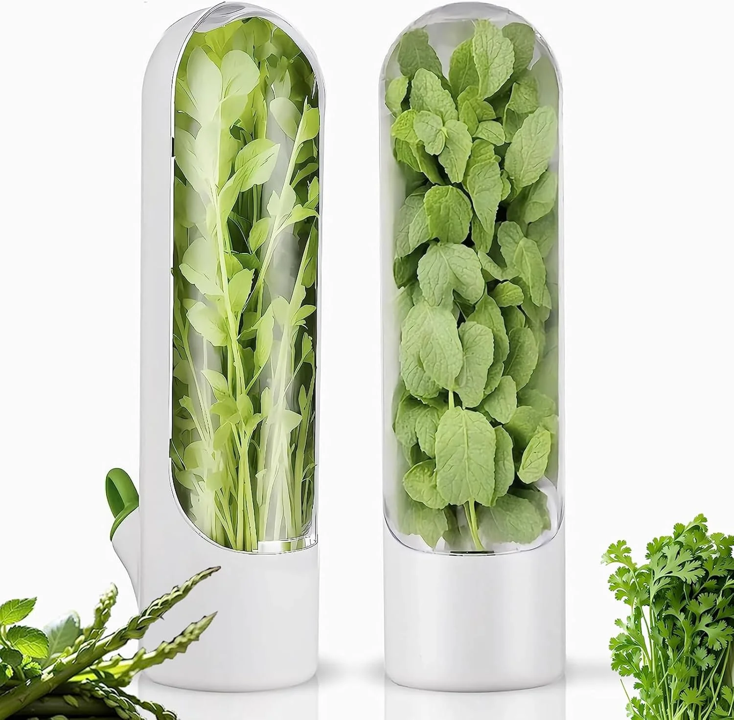 HerbLock™ – Keep Your Greens Alive, Longer