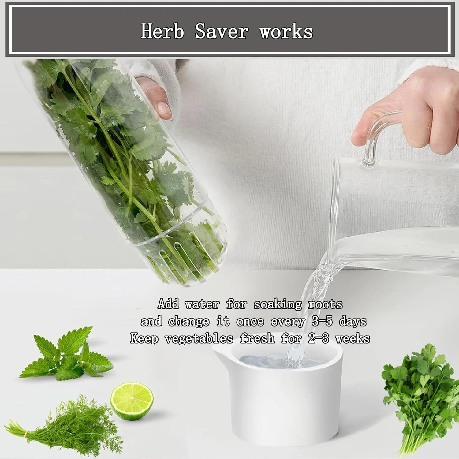 HerbLock™ – Keep Your Greens Alive, Longer - Image 3