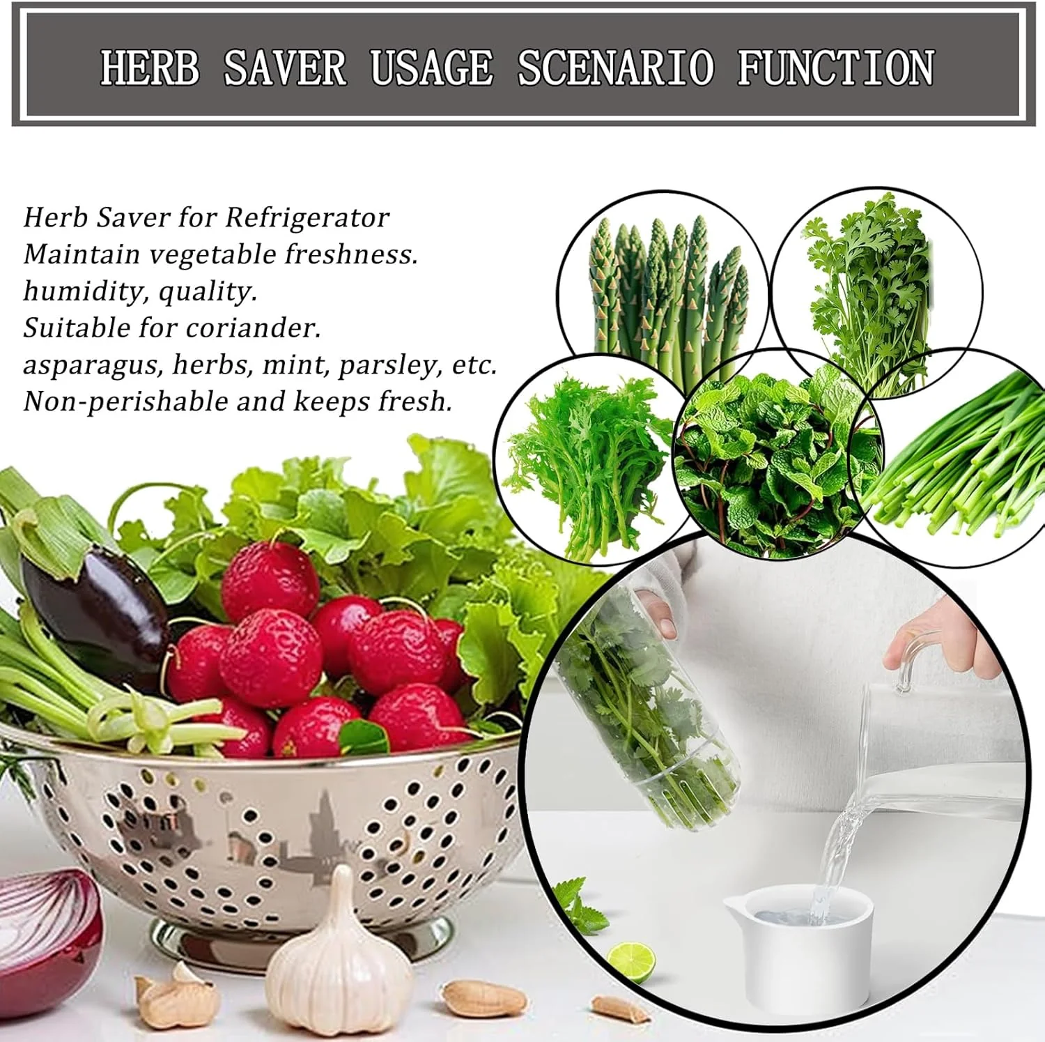 HerbLock™ – Keep Your Greens Alive, Longer - Image 4
