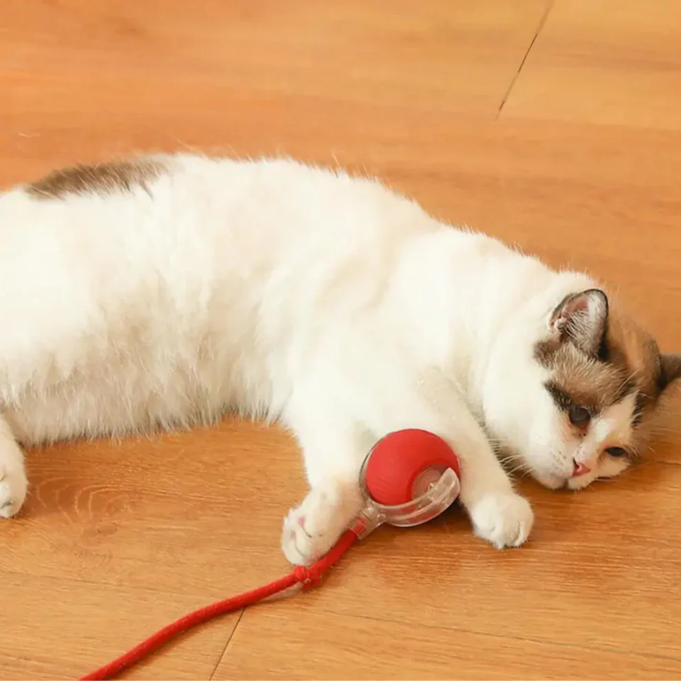 PurrRoll | Interactive Cat Toy Ball - Image 2